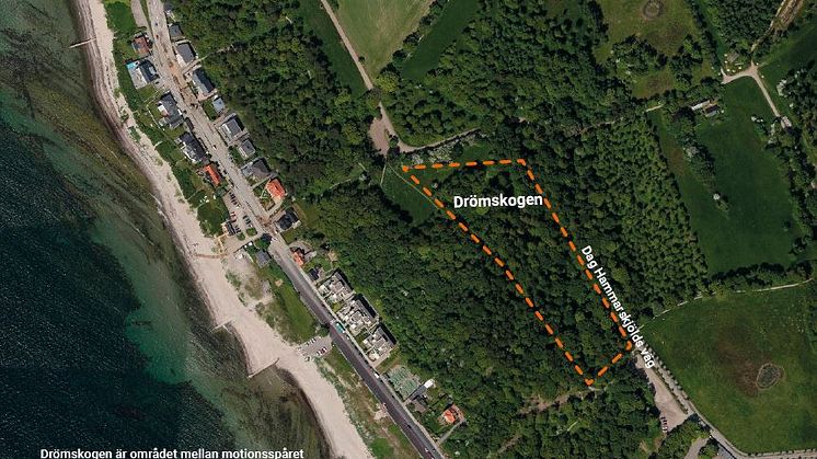 ​Pressinbjudan: Barnens Drömskog förverkligas i Pålsjö skog