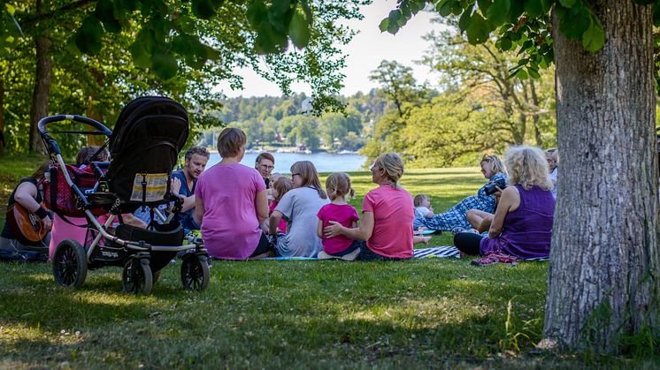 Svenska Downföreningens Babyläger sommaren 2020
