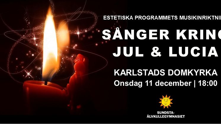 Pressinbjudan: Välkommen på julkonsert i Karlstads domkyrka