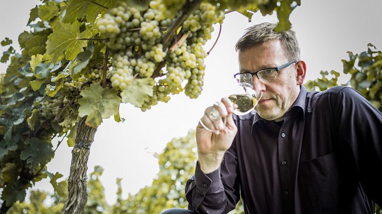 Rieslingälskare - se hit och inte längre, ny toppårgång från ikonisk vinmark