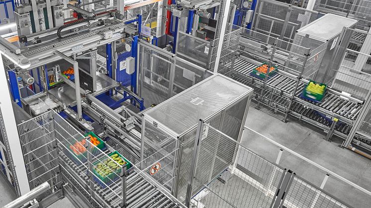 Logistikcenter Witron automation
