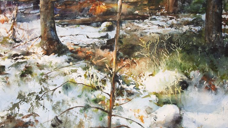 Skog_odaterad_Lars Eje Larsson_Process