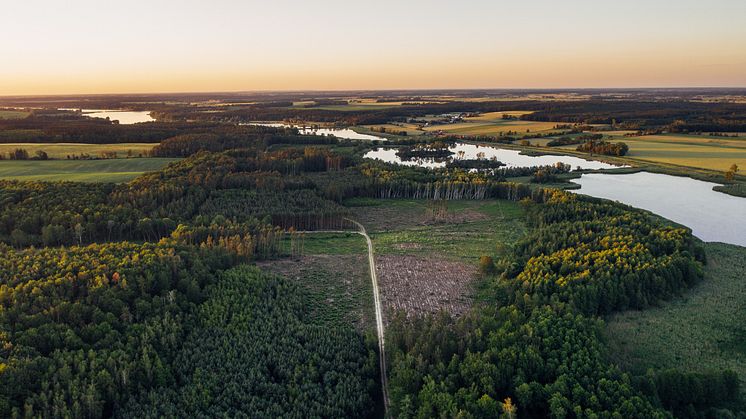 Sjö och natur.jpg