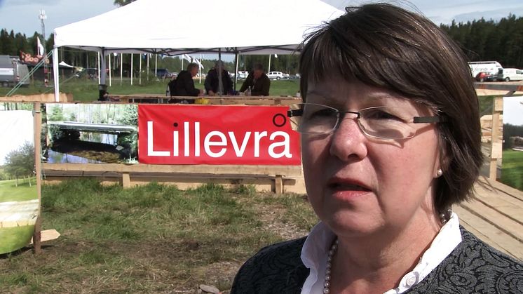 Mattor räddar mark och miljö