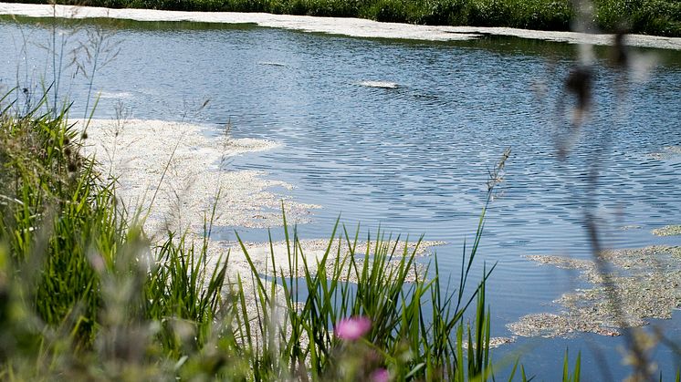 Källby avloppsreningsverk i södra Lund