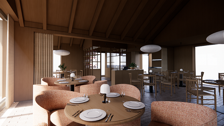 aye aye - rendering 1.png