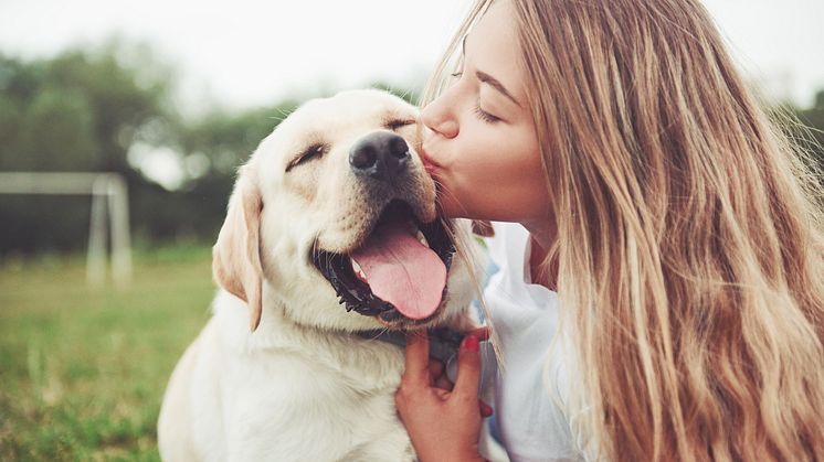 Ohjelmaan vuonna 2020 mukaan päässyt suomalainen OneMind Dogs auttaa omistajia ymmärtämään paremmin koiransa näkökulmaa.