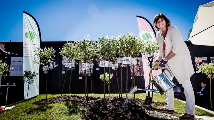 Biståndsminister Isabella Lövin planterar träd för klimatet