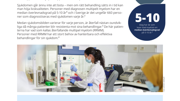 Faktablad om multipelt myelom