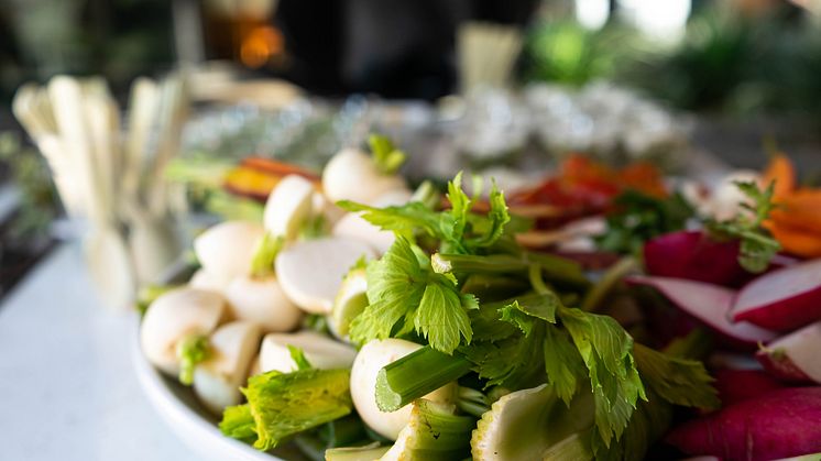 Descubre los top 7 destinos vegetarianos de Europa