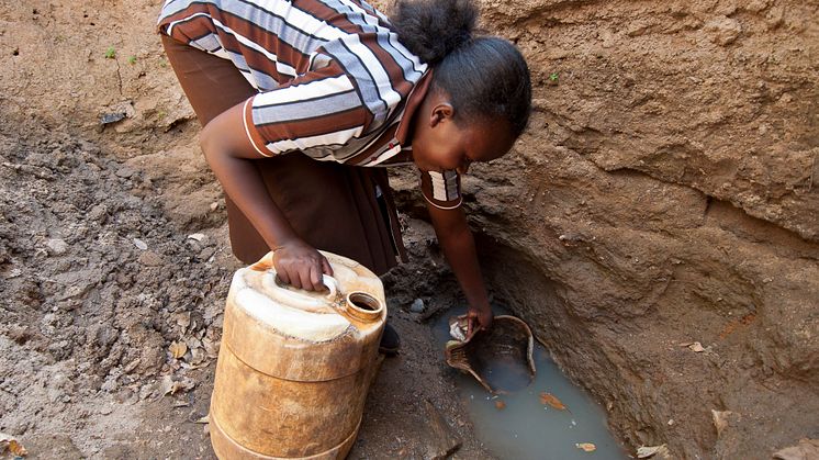 Hellen Ngina Mutisa