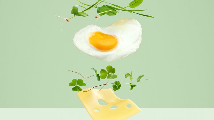 Mossmacka - Carl Kleiner
