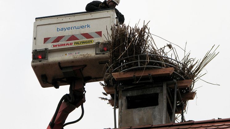 Bau Storchennest_Steppach