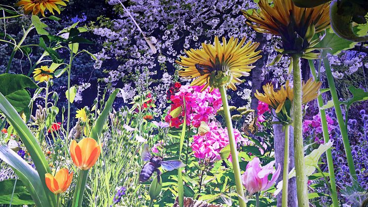 Blick in die Ausstellung - Carolas Garten - Yadegar Asisi (2)