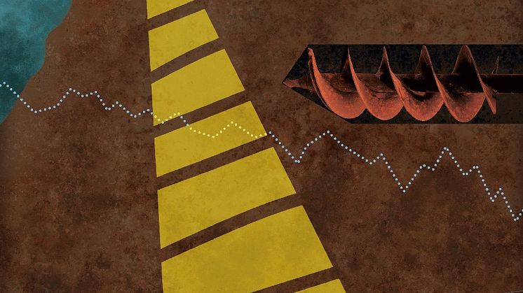 Illustration: Felicia Fortes