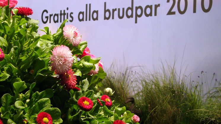 Sweet Love Stories - en hyllning till alla bröllopspar