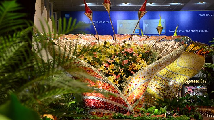 Brand new blooms to delight Changi Airport passengers