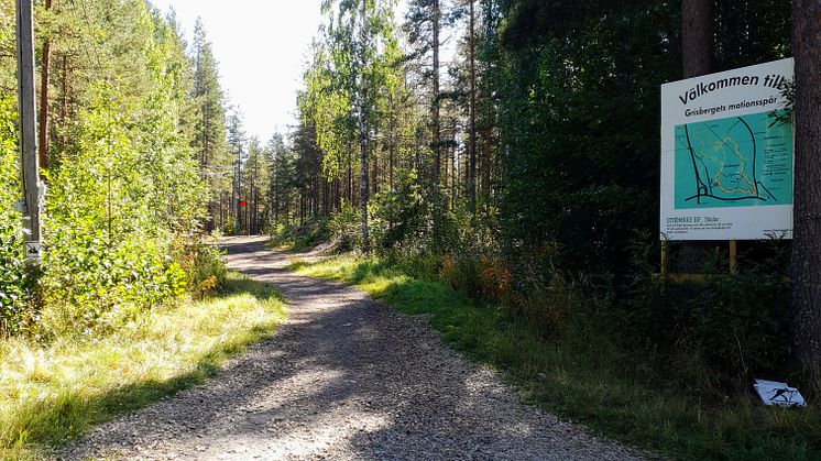 Grisberget är en av Piteås sju klassificerade hälsoslingor. Lördag 10 september genomförs aktiviteter vid två av slingorna.