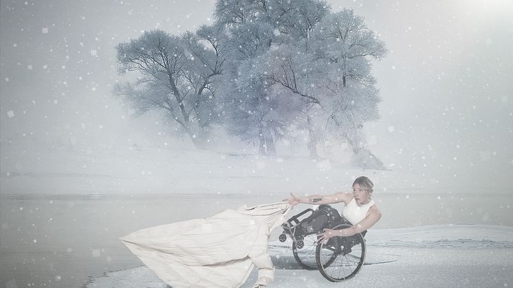 Vinterresa poster photo 2