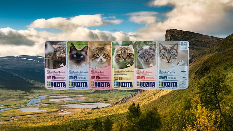 Endast svenskt till den kräsna katten