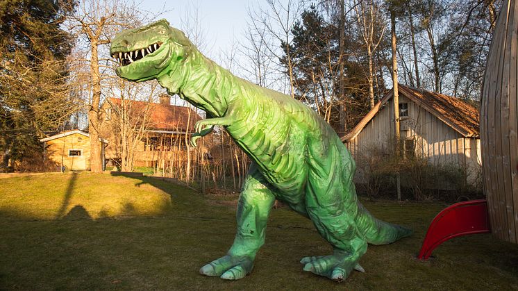 trex-i-trädgård.jpg