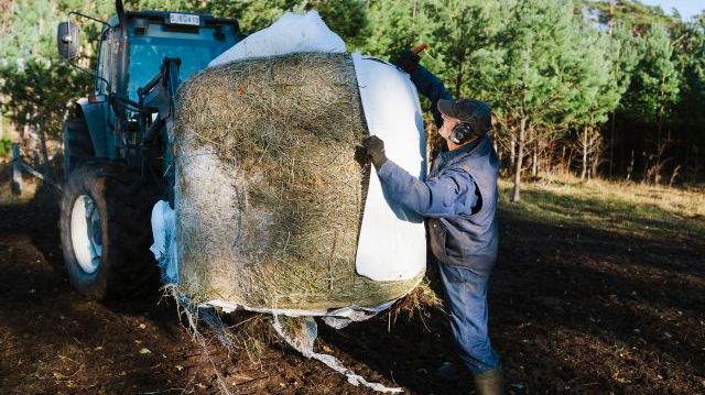 2021 kännetecknas av både ökade intäkter och kostnader för jordbruket. Det är en följd av stigande avräkningspriser för bland annat spannmål, oljeväxter och mjölk samt höga priser på insatsvaror. Foto: Linnea Ronström, Scandinav.