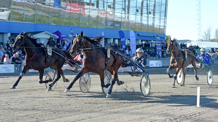 Volstead inbjuden till Elitloppet