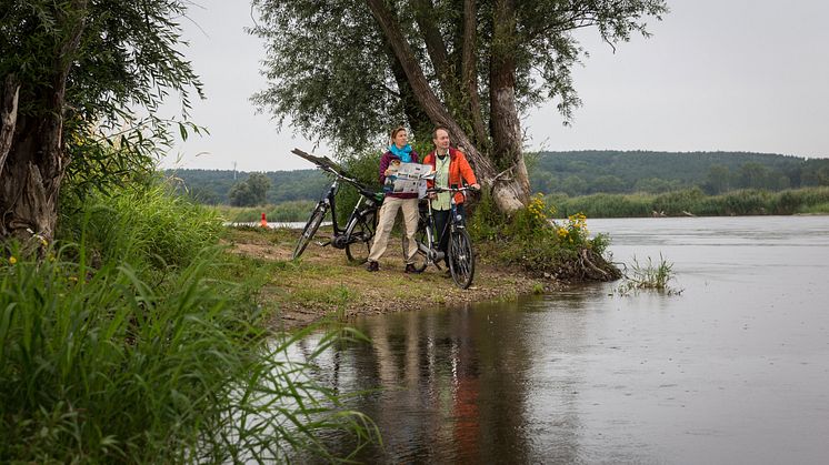 Mit dem Fahrrad an der Oder unterwegs (TMB-Fotoarchiv/Yorck Maecke)
