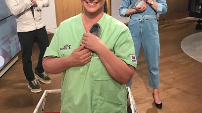 Bild TV4 