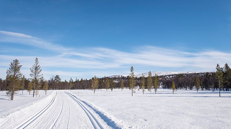 Grovelsjon_cross-countrytracks_fotoAnnaHolm_Visitdalarna.jpg