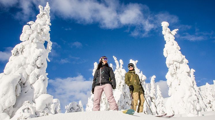 SkiStar AB: #älskasnö gör viral succé