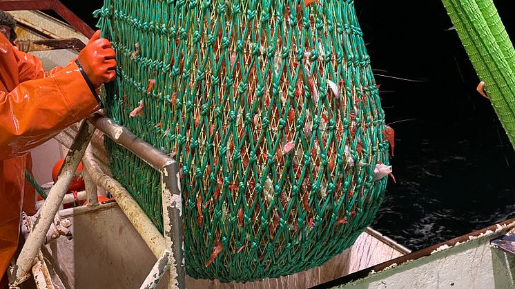 Den nya trålen är betydligt lättare att reparera och materialåtervinna jämfört med dagens alternativ. Foto: Sotenäs Symbioscenter