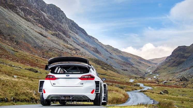 2017 Ford Fiesta WRC