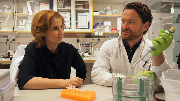 Anna Blom och Ben C King har upptäckt att proteinet C3 skyddar insulinproducerande celler. Foto: Rebecca Rosberg 