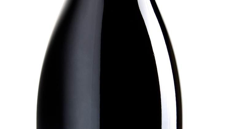 Bourgogne Rouge Pinot Noir 2016 