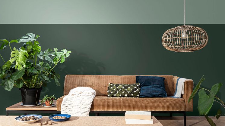 Kleur elke dag bijzonder met Pure by Flexa