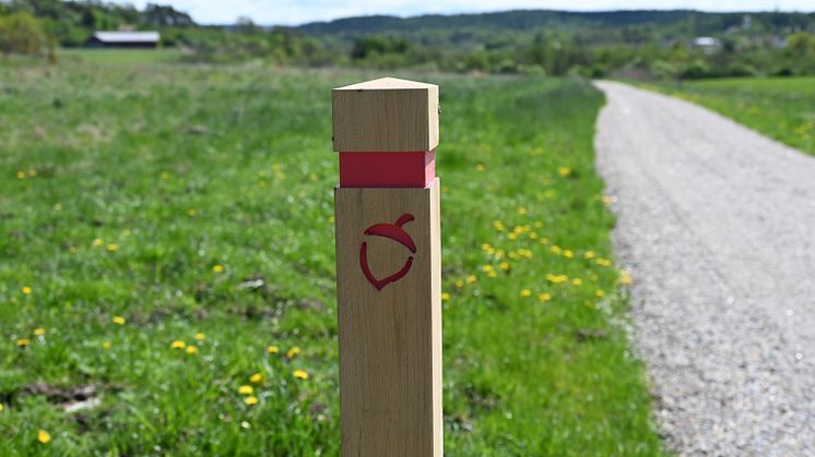Stolpe med markering längs Majorebergsleden