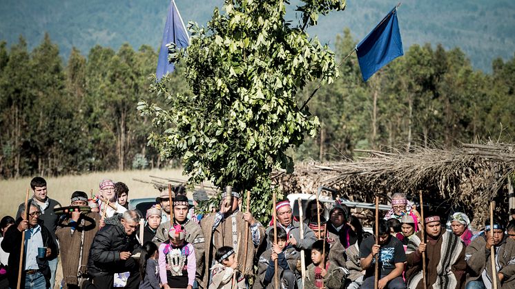 Vino Tayu Ceremonia Mapuche 08.jpg