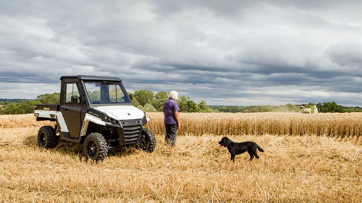 Terrain EX4 (20)