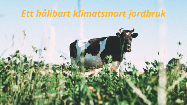 Ett hållbart klimatsmart jordbruk