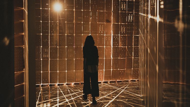 Installationsbild / installation view: Coppers, 2019 Färgfabriken