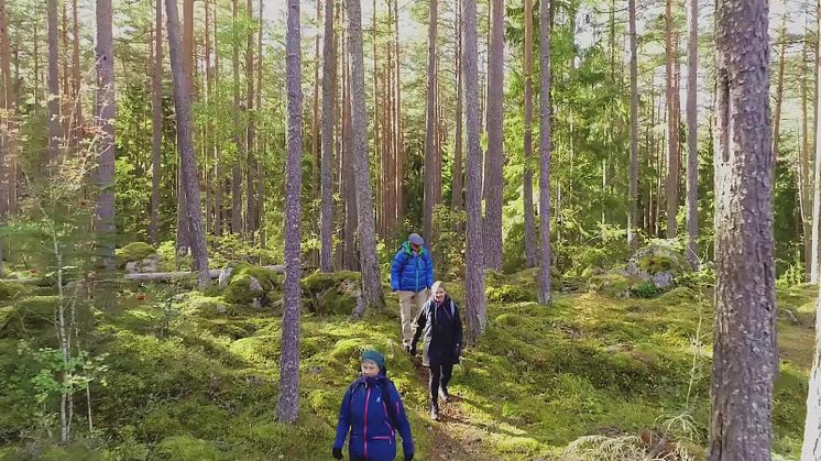 Film med miljöer Östergötland