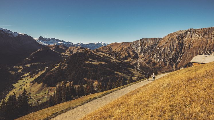 Berner Oberland: Wandern Tschentenalp