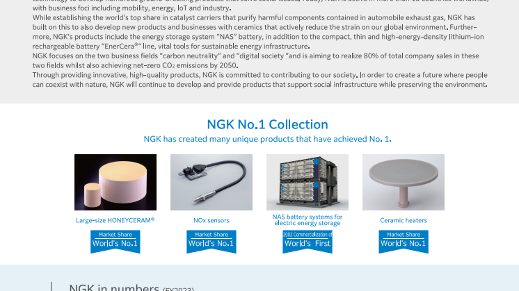 NGK Factbook (Nov2024).pdf