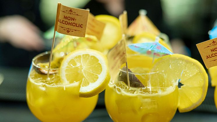 0287_ta_Pincho_290323_www.vikenfotovideo.no_lr