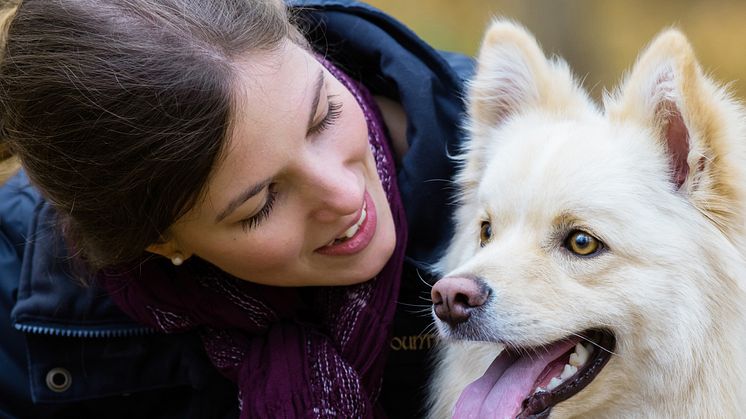 Finsk lapphund med sin matte
