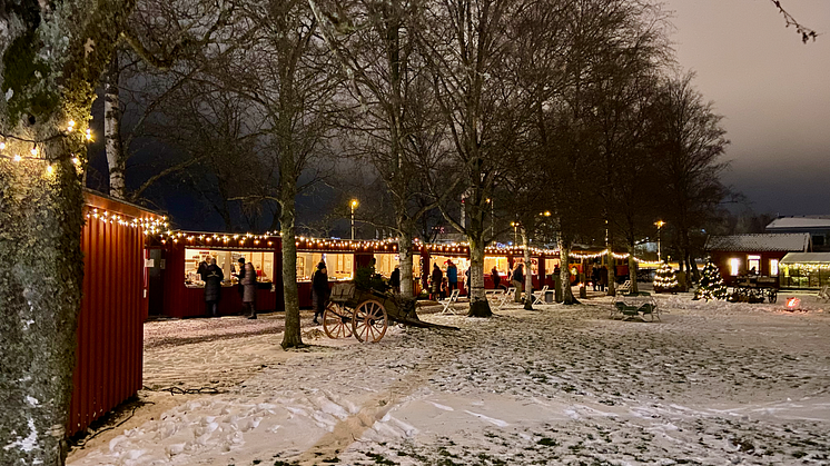 Christimas lights in Alingsås 3 Julmarknad på Nolbygård_foto_Gro Hansen Johnsson.png