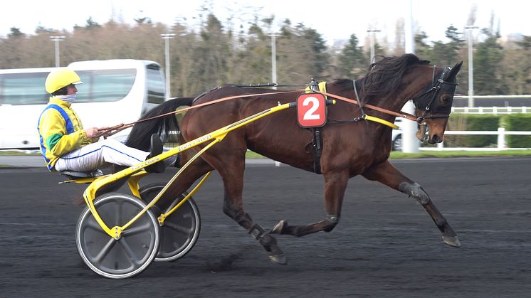 ​Bahia Quesnot inbjuden till Elitloppet