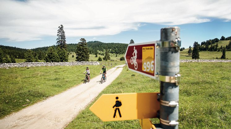 Kulinarische Radtour am Jurafuss 
