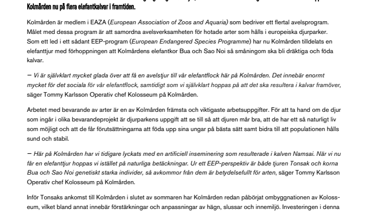 Kolmården utökar elefantflocken med en avelshanne